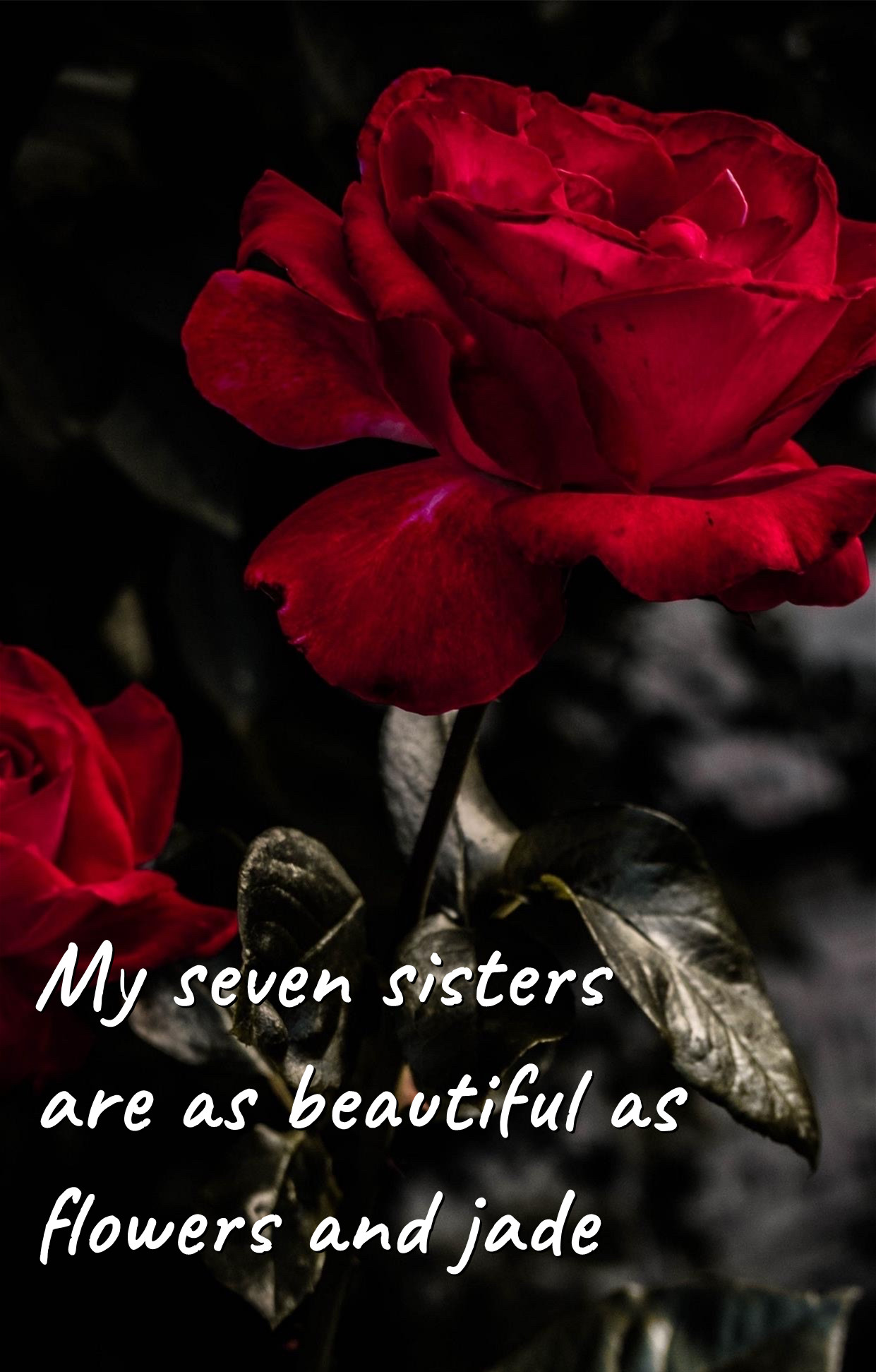 My seven sisters are as beautiful as flowers and jade